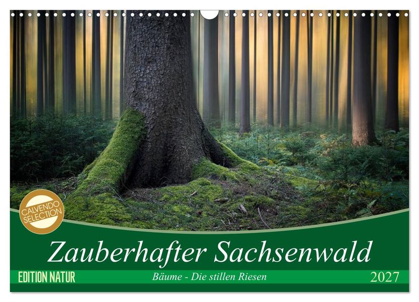 Zauberhafter Sachsenwald (Wandkalender 2027 DIN A3 quer) CALVENDO Monatskalender