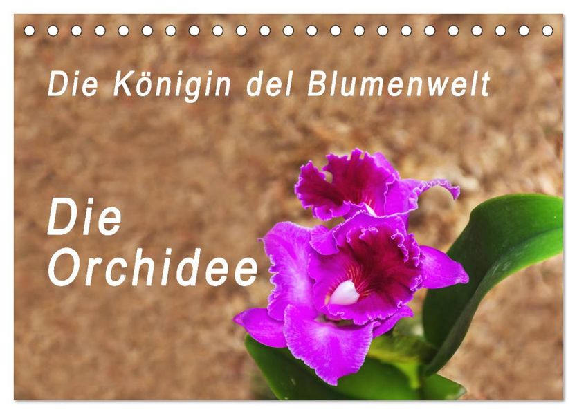 Die Königin der Blumenwelt die Orchidee (Tischkalender 2027 DIN A5 quer) CALVENDO Monatskalender