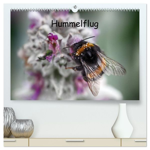 Hummelflug (hochwertiger Premium Wandkalender 2027 DIN A2 quer) Kunstdruck in Hochglanz