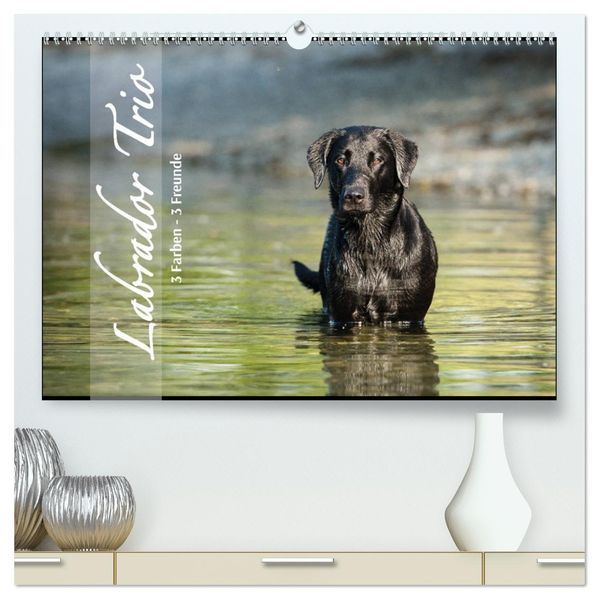Labrador Trio - 3 Farben 3 Freunde (hochwertiger Premium Wandkalender 2027 DIN A2 quer) Kunstdruck in Hochglanz