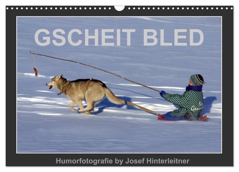 GSCHEIT BLED - Humorfotografie (Wandkalender 2027 DIN A3 quer) CALVENDO Monatskalender