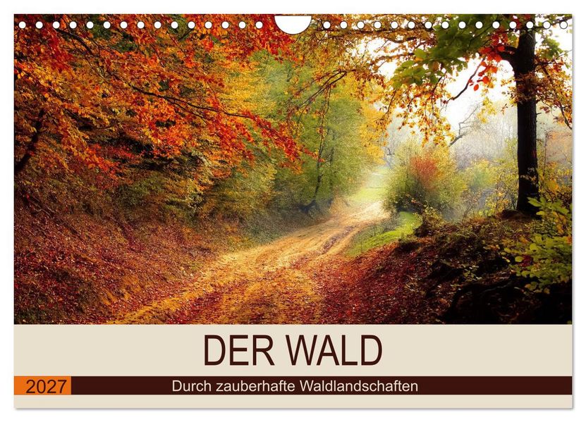 Der Wald. Durch zauberhafte Waldlandschaften (Wandkalender 2027 DIN A4 quer) CALVENDO Monatskalender
