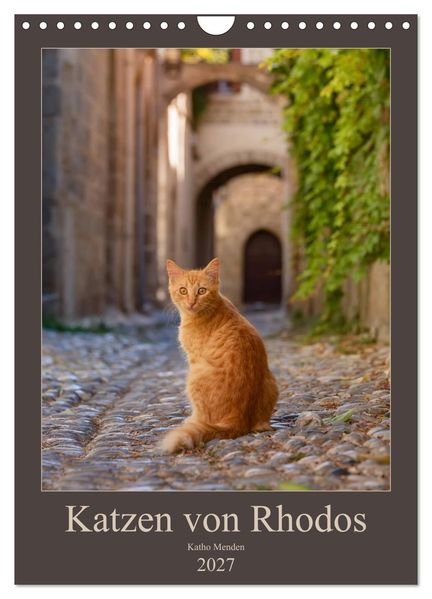 Katzen von Rhodos (Wandkalender 2027 DIN A4 hoch) CALVENDO Monatskalender