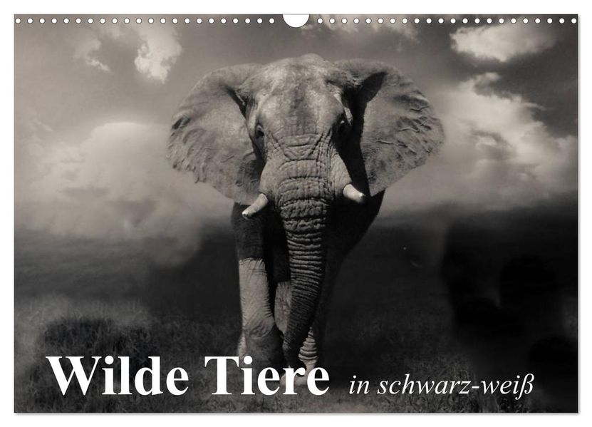 Wilde Tiere in schwarz-weiß (Wandkalender 2027 DIN A3 quer) CALVENDO Monatskalender