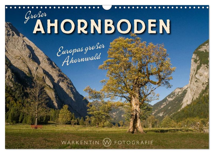 Großer Ahornboden - Europas großer Ahornwald (Wandkalender 2027 DIN A3 quer) CALVENDO Monatskalender
