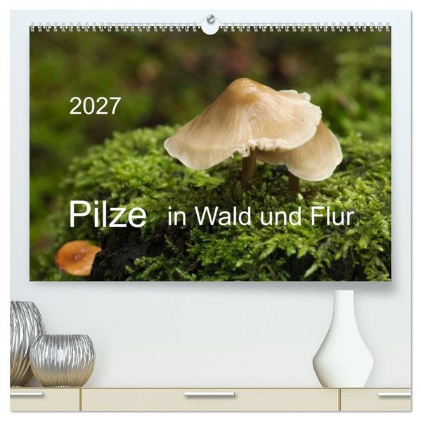 Pilze in Wald und Flur (hochwertiger Premium Wandkalender 2027 DIN A2 quer) Kunstdruck in Hochglanz