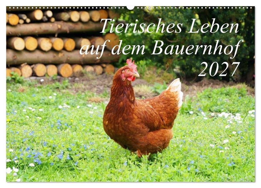 Tierisches Leben auf dem Bauernhof 2027 (Wandkalender 2027 DIN A2 quer) CALVENDO Monatskalender