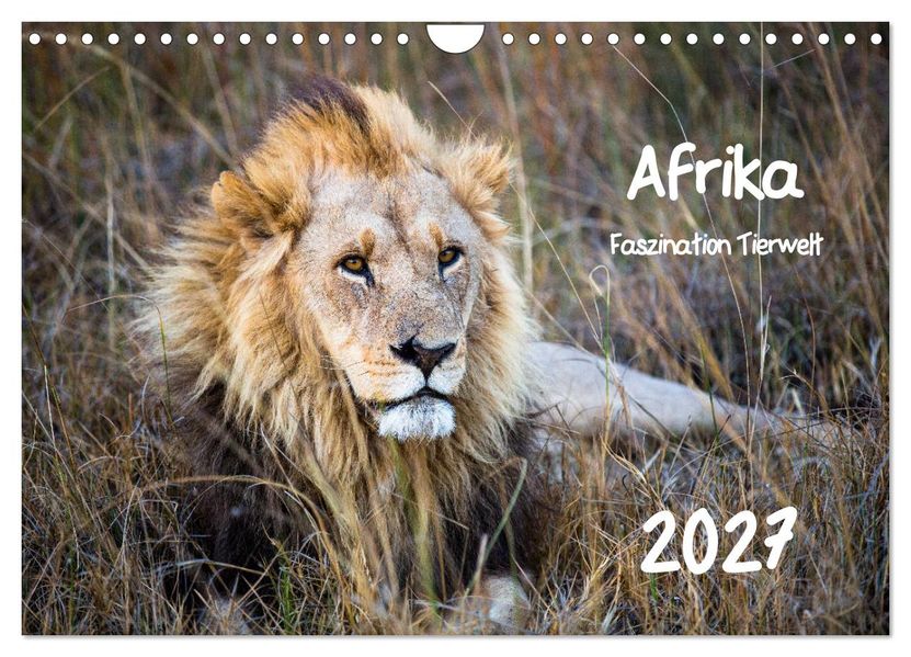 Afrika - Faszination Tierwelt (Wandkalender 2027 DIN A4 quer) CALVENDO Monatskalender