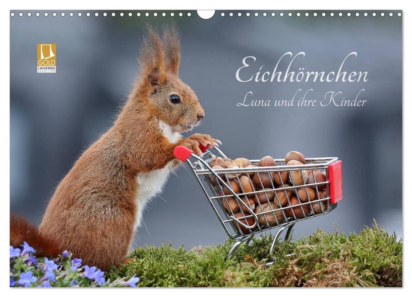 Eichhörnchen Luna und ihre Kinder (Wandkalender 2027 DIN A3 quer) CALVENDO Monatskalender