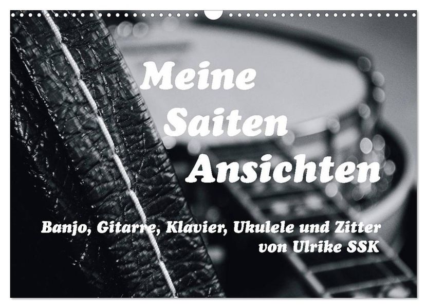 Meine Saiten Ansichten - Banjo Gitarre Klavier Ukulele und Zitter von Ulrike SSK (Wandkalender 2027 DIN A3 quer) CALVENDO Monatskalender