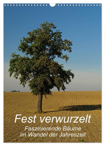 Fest verwurzelt - Faszinierende Bäume im Wandel der Jahreszeit (Wandkalender 2027 DIN A3 hoch) CALVENDO Monatskalender