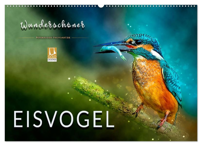 Wunderschöner Eisvogel (Wandkalender 2027 DIN A2 quer) CALVENDO Monatskalender