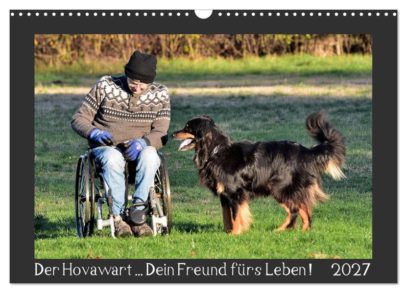 Der Hovawart... Dein Freund fürs Leben! (Wandkalender 2027 DIN A3 quer) CALVENDO Monatskalender