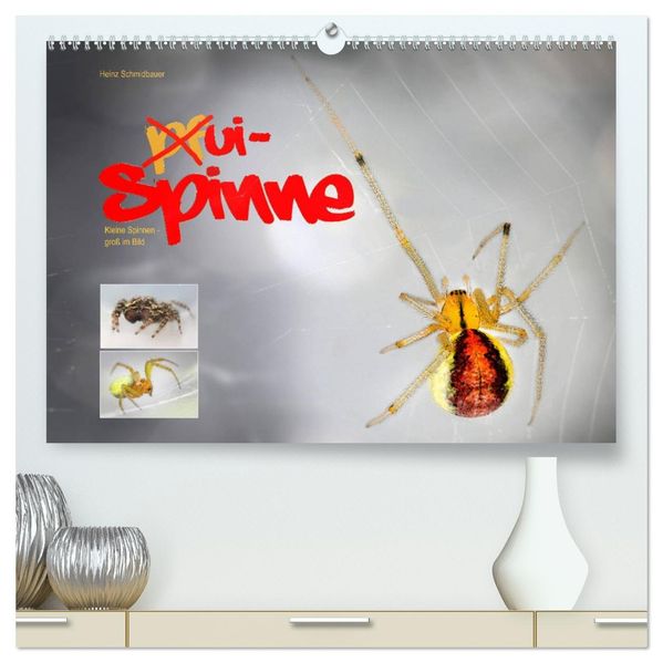 ui - Spinne. Kleine Spinnen - groß im Bild (hochwertiger Premium Wandkalender 2027 DIN A2 quer) Kunstdruck in Hochglanz
