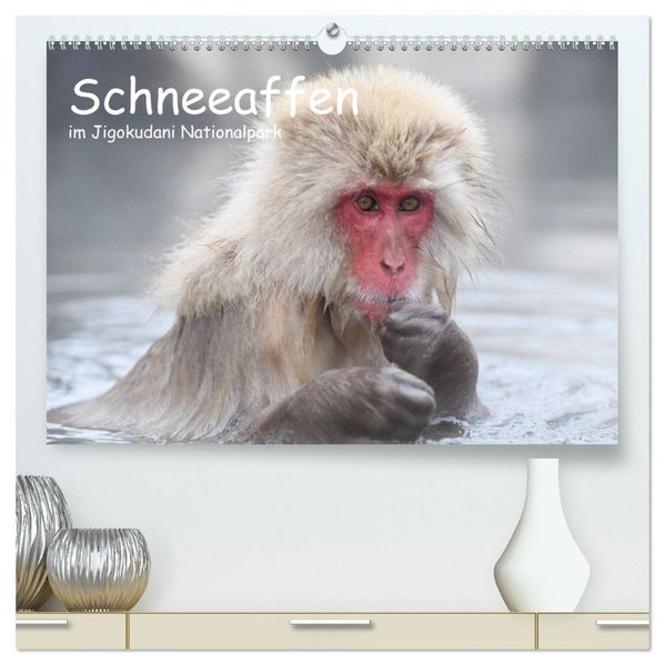 Schneeaffen im Jigokudani Nationalpark (hochwertiger Premium Wandkalender 2027 DIN A2 quer) Kunstdruck in Hochglanz
