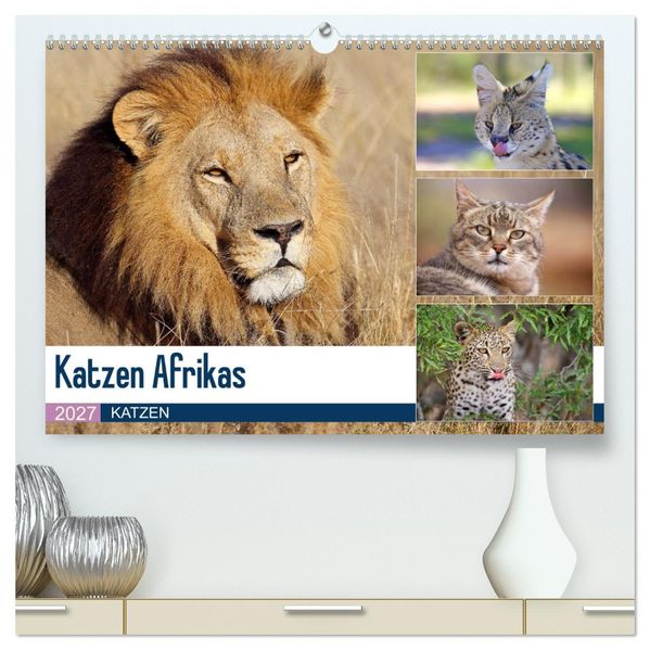 Katzen Afrikas (hochwertiger Premium Wandkalender 2027 DIN A2 quer) Kunstdruck in Hochglanz