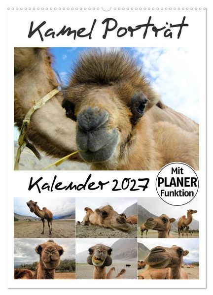 Kamel Porträt (Wandkalender 2027 DIN A2 hoch) CALVENDO Monatskalender