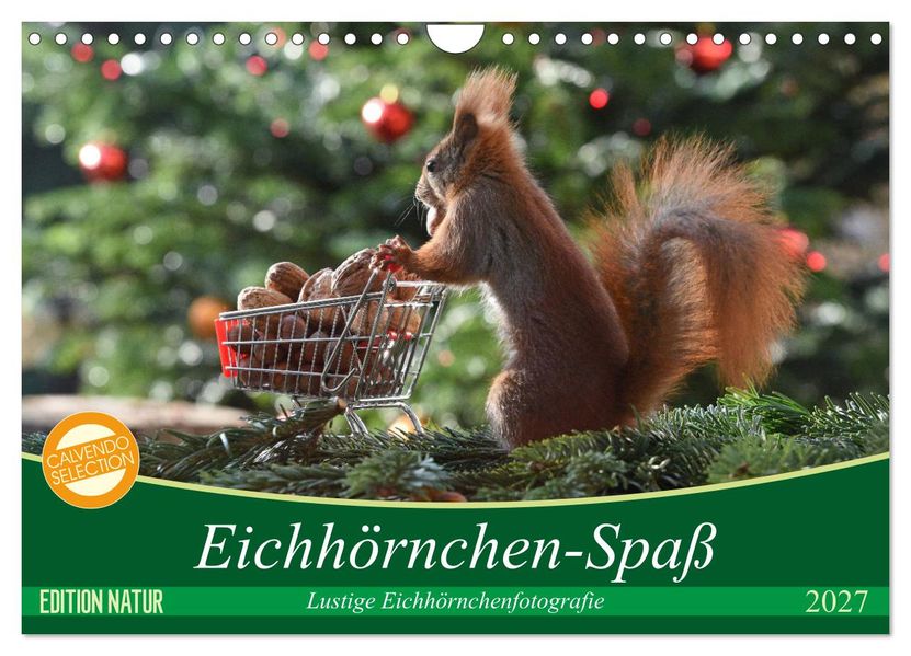 Eichhörnchen-Spaß (Wandkalender 2027 DIN A4 quer) CALVENDO Monatskalender