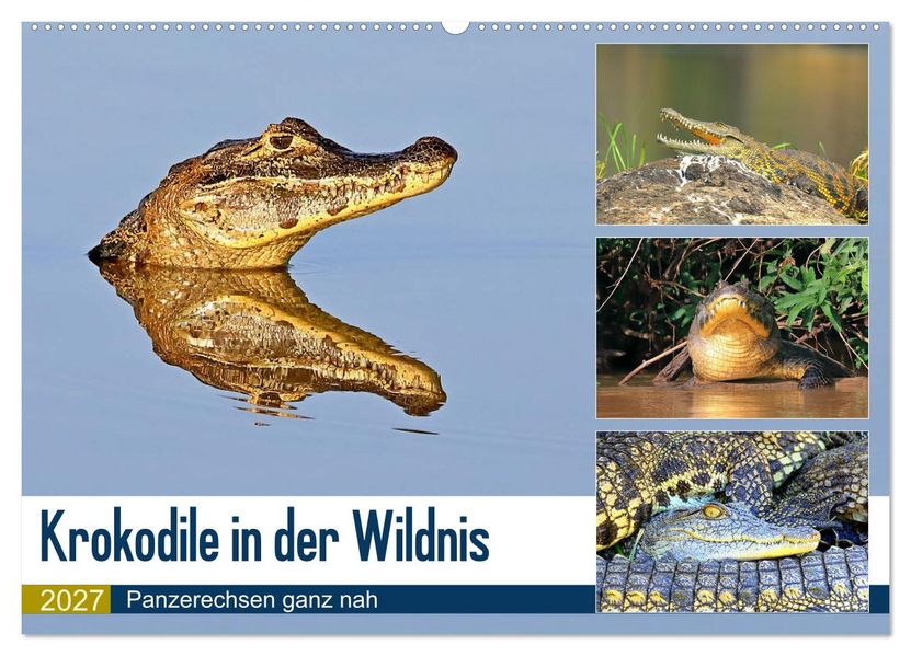 Krokodile in der Wildnis (Wandkalender 2027 DIN A2 quer) CALVENDO Monatskalender