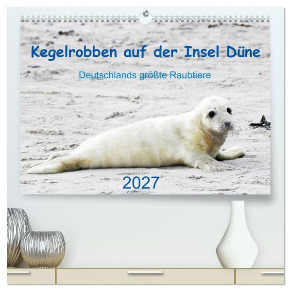 Kegelrobben auf der Insel Düne (hochwertiger Premium Wandkalender 2027 DIN A2 quer) Kunstdruck in Hochglanz