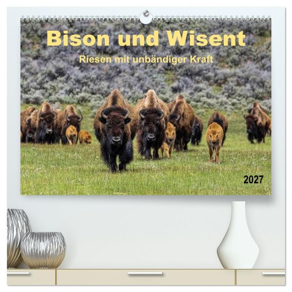 Bison und Wisent - Riesen mit unbändiger Kraft (hochwertiger Premium Wandkalender 2027 DIN A2 quer) Kunstdruck in Hochglanz