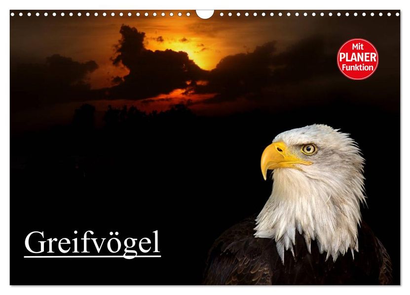 Greifvögel (Wandkalender 2027 DIN A3 quer) CALVENDO Monatskalender