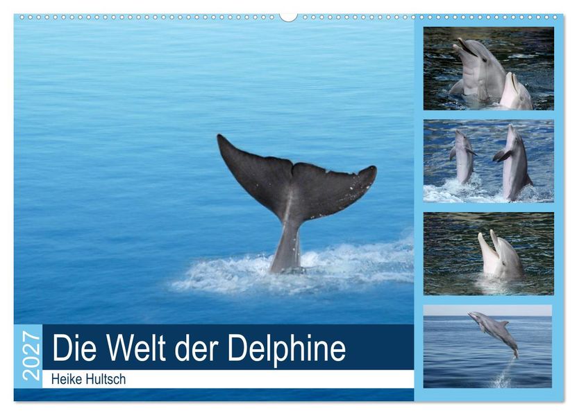 Die Welt der Delphine (Wandkalender 2027 DIN A2 quer) CALVENDO Monatskalender