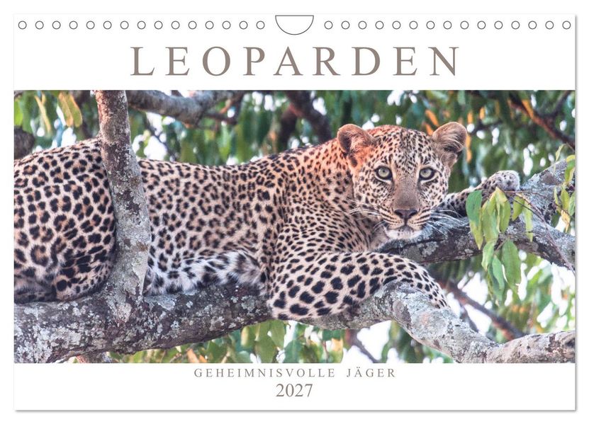 Leoparden - Geheimnisvolle Jäger (Wandkalender 2027 DIN A4 quer) CALVENDO Monatskalender
