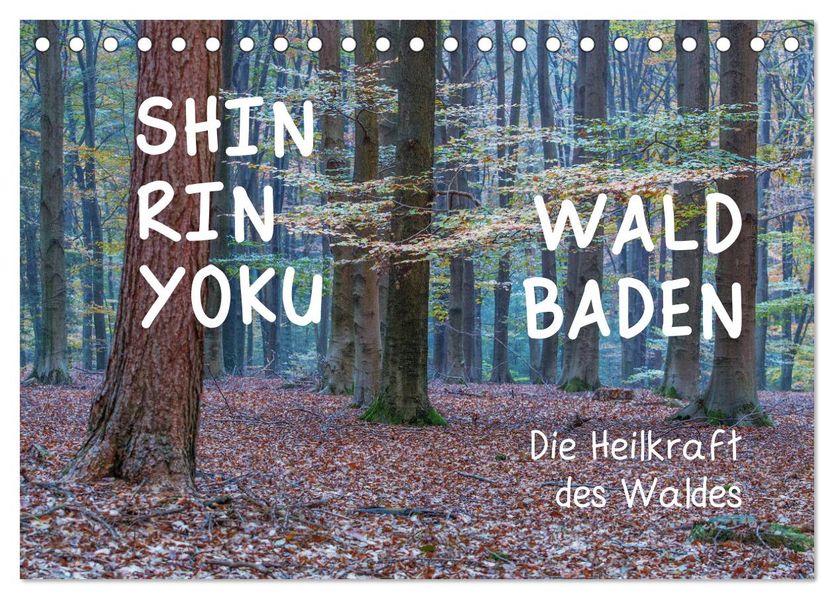 Shinrin yoku - Waldbaden 2027 (Tischkalender 2027 DIN A5 quer) CALVENDO Monatskalender
