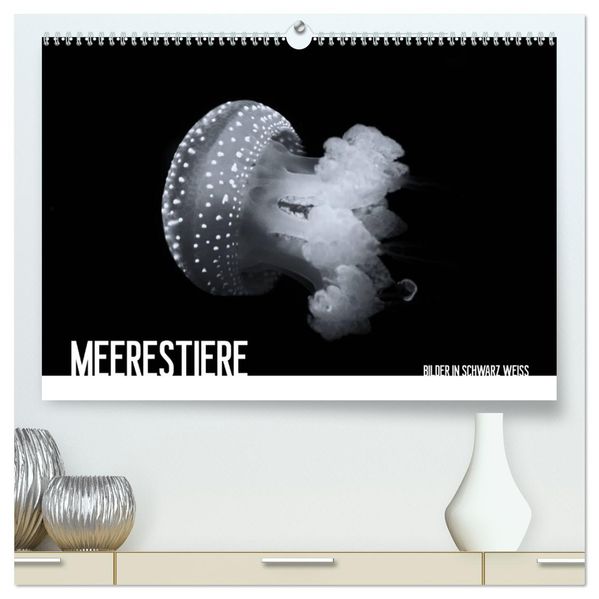 Meerestiere Bilder in Schwarz Weiss (hochwertiger Premium Wandkalender 2027 DIN A2 quer) Kunstdruck in Hochglanz