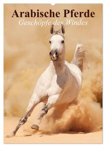 Arabische Pferde Geschöpfe des Windes (Wandkalender 2027 DIN A2 hoch) CALVENDO Monatskalender