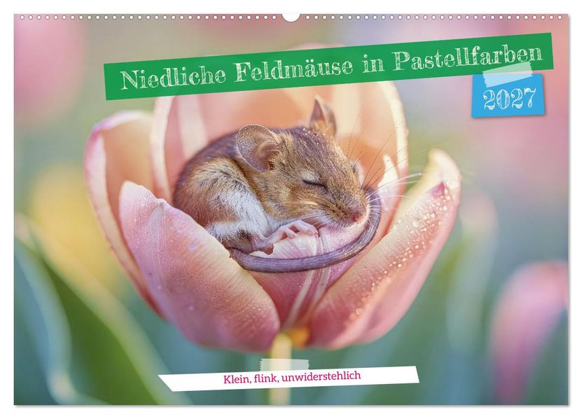 Niedliche Feldmäuse in Pastellfarben (Wandkalender 2027 DIN A2 quer) CALVENDO Monatskalender