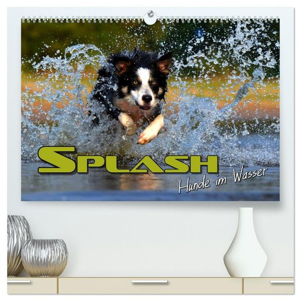 SPLASH - Hunde im Wasser (hochwertiger Premium Wandkalender 2027 DIN A2 quer) Kunstdruck in Hochglanz