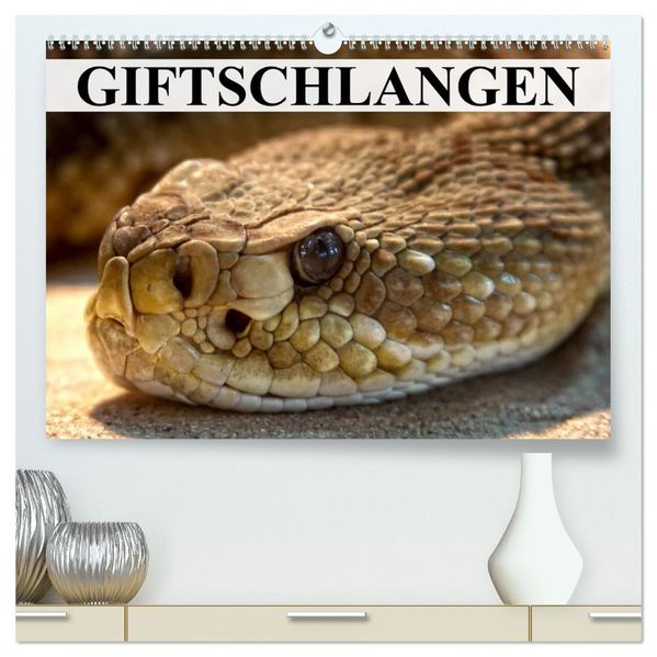 Giftschlangen (hochwertiger Premium Wandkalender 2027 DIN A2 quer) Kunstdruck in Hochglanz