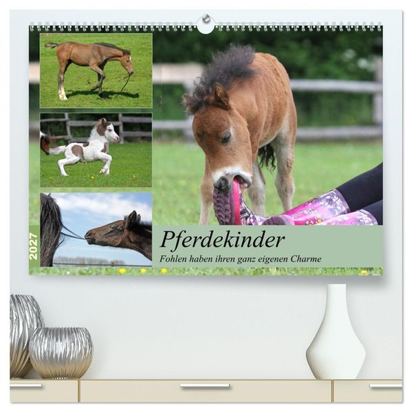 Pferdekinder - Fohlen haben ihren ganz eigenen Charme (hochwertiger Premium Wandkalender 2027 DIN A2 quer) Kunstdruck in Hochglanz