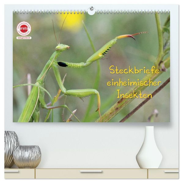 GEOclick Lernkalender: Insekten (hochwertiger Premium Wandkalender 2027 DIN A2 quer) Kunstdruck in Hochglanz