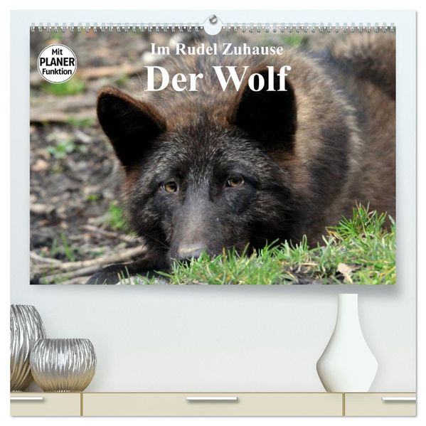 Im Rudel Zuhause - Der Wolf (hochwertiger Premium Wandkalender 2027 DIN A2 quer) Kunstdruck in Hochglanz