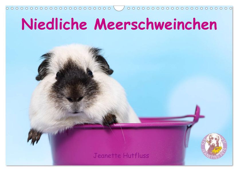 Niedliche Meerschweinchen (Wandkalender 2027 DIN A3 quer) CALVENDO Monatskalender