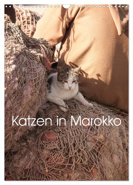 Katzen in Marokko (Wandkalender 2027 DIN A3 hoch) CALVENDO Monatskalender