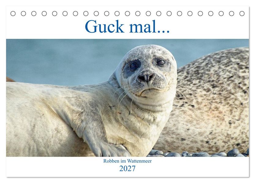 Guck mal... Robben im Wattenmeer (Tischkalender 2027 DIN A5 quer) CALVENDO Monatskalender