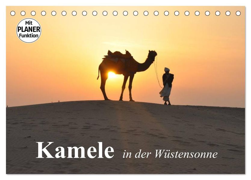 Kamele in der Wüstensonne (Tischkalender 2027 DIN A5 quer) CALVENDO Monatskalender