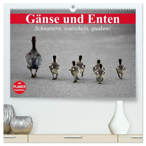 Gänse und Enten. Schnattern watscheln quaken! (hochwertiger Premium Wandkalender 2027 DIN A2 quer) Kunstdruck in Hochglanz