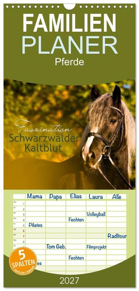 Familienplaner 2027 - Faszination Schwarzwälder Kaltblut mit 5 Spalten (Wandkalender 21 x 45 cm) CALVENDO