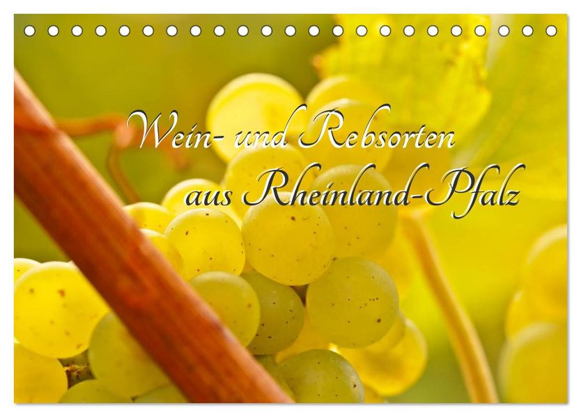 Wein- und Rebsorten aus Rheinland-Pfalz (Tischkalender 2027 DIN A5 quer) CALVENDO Monatskalender