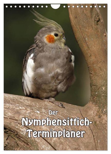 Der Nymphensittich-Terminplaner (Wandkalender 2027 DIN A4 hoch) CALVENDO Monatskalender