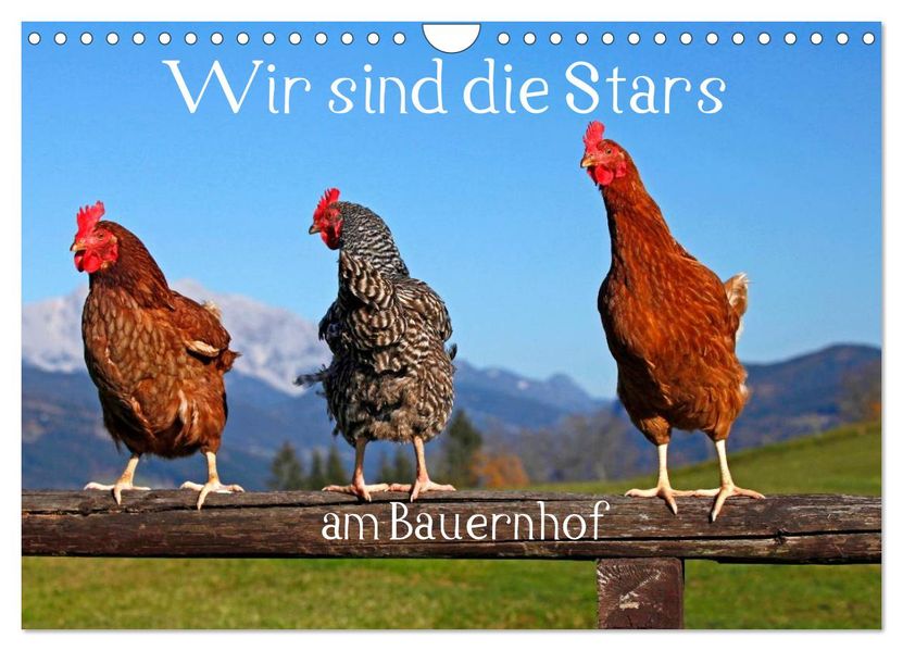 Wir sind die Stars am Bauernhof (Wandkalender 2027 DIN A4 quer) CALVENDO Monatskalender
