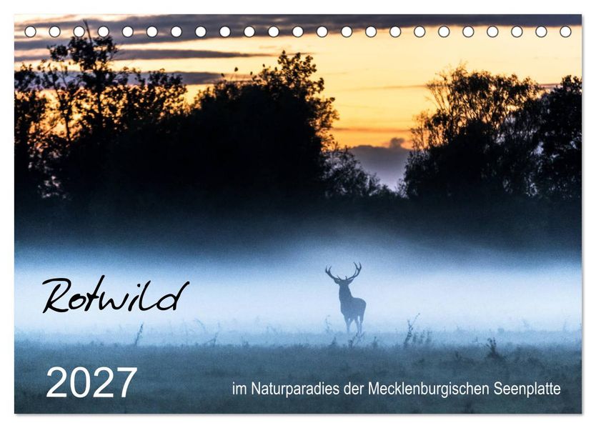 Rotwild - im Naturparadies der Mecklenburgischen Seenplatte (Tischkalender 2027 DIN A5 quer) CALVENDO Monatskalender