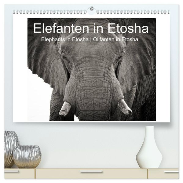 Elefanten in Etosha (hochwertiger Premium Wandkalender 2027 DIN A2 quer) Kunstdruck in Hochglanz