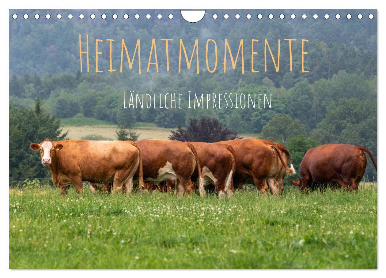 Heimatmomente - Ländliche Impressionen (Wandkalender 2027 DIN A4 quer) CALVENDO Monatskalender