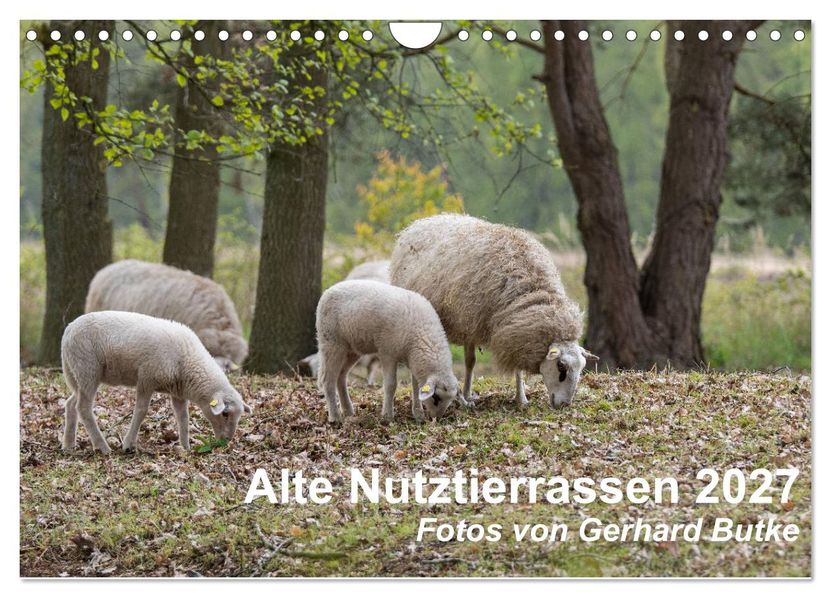 Alte Nutztierrassen 2027 (Wandkalender 2027 DIN A4 quer) CALVENDO Monatskalender
